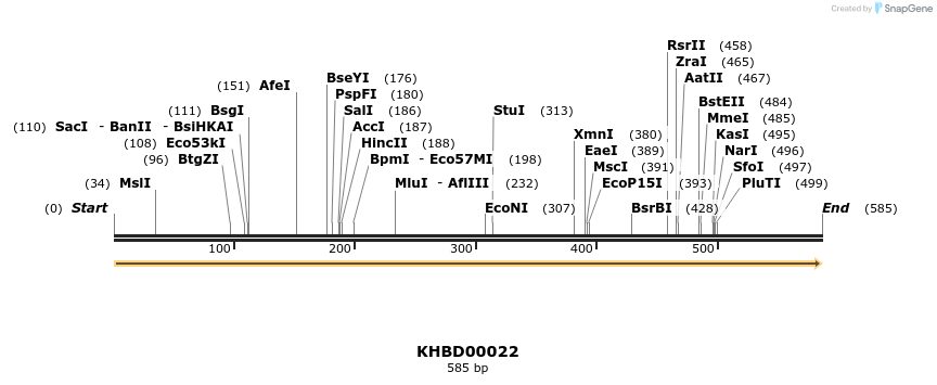 40751_map