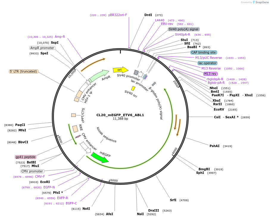 407512_map