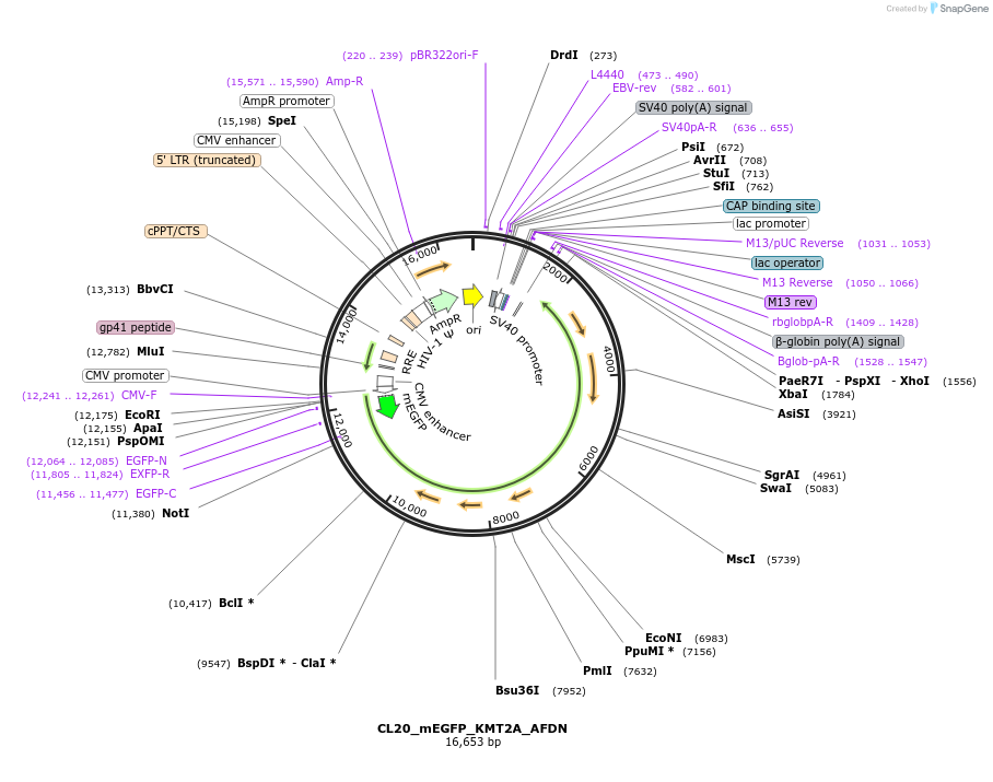 407519_map