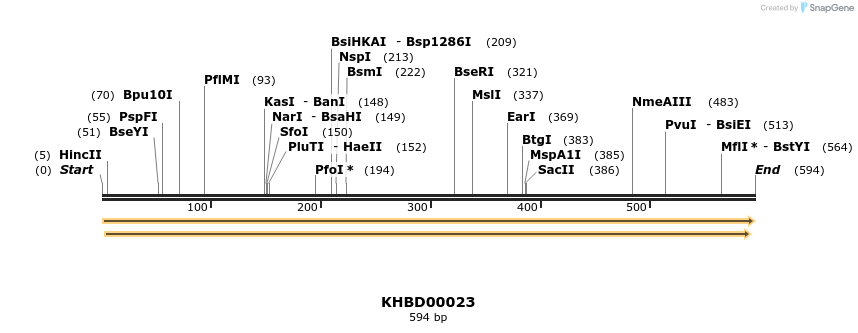 40752_map