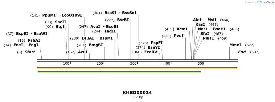 40753_map