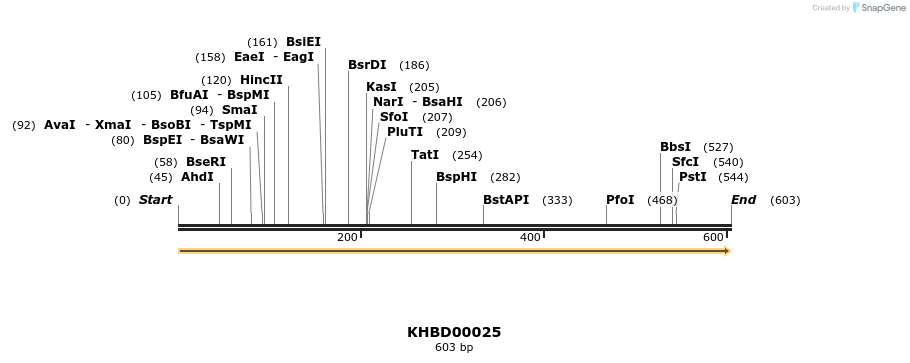 40754_map