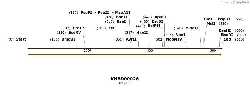 40755_map