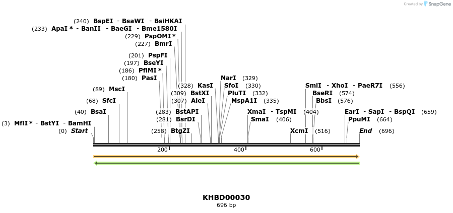 40759_map