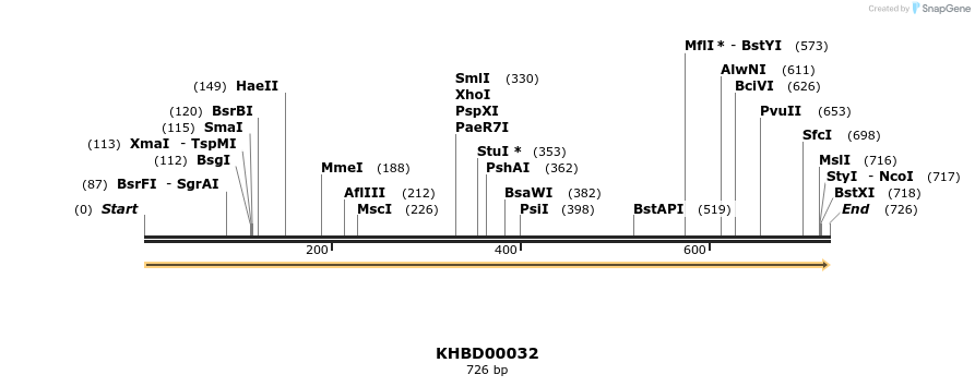 40761_map