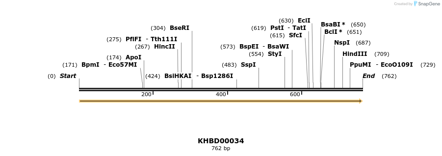 40763_map
