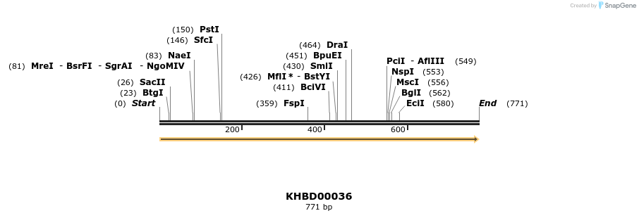 40765_map
