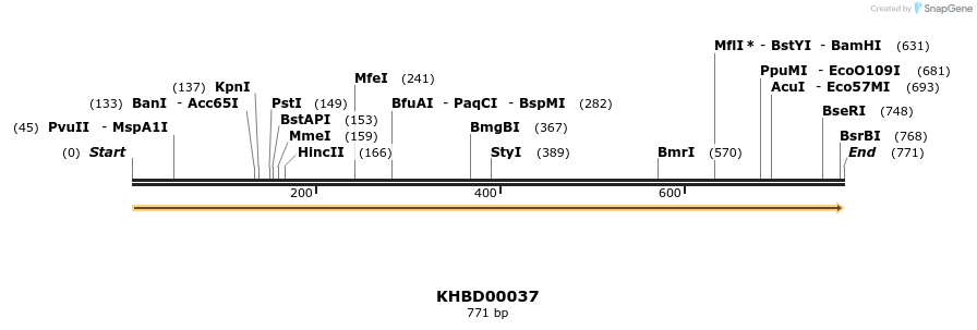 40766_map