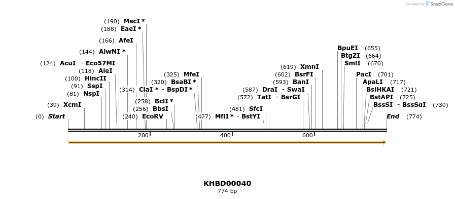 40769_map