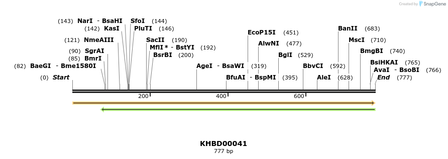 40770_map