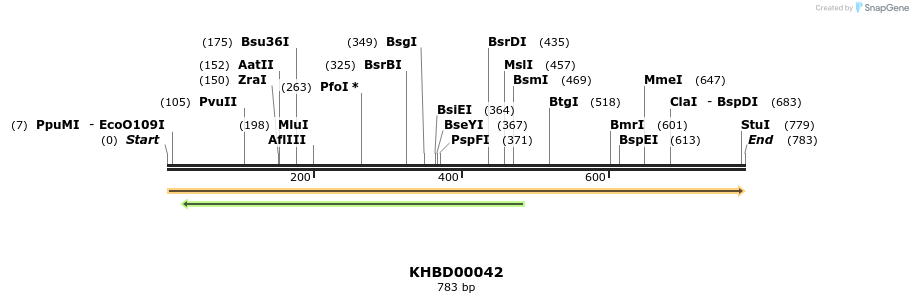 40771_map