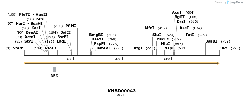 40772_map