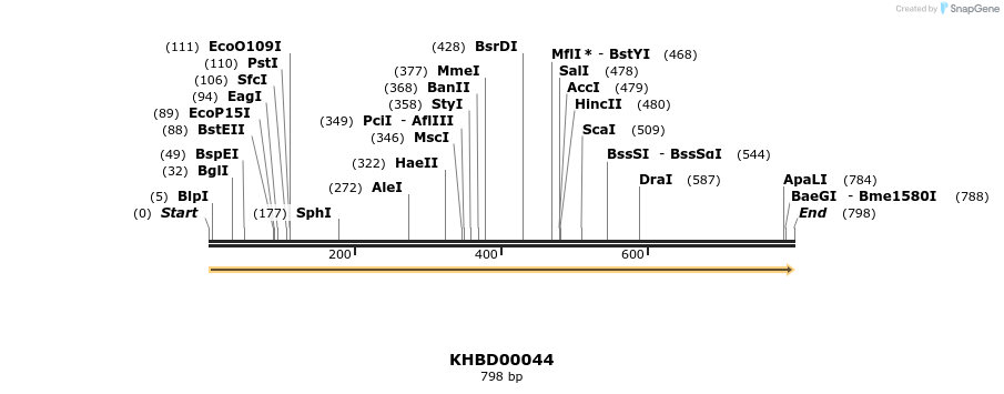 40773_map