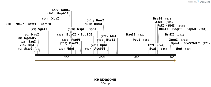 40774_map