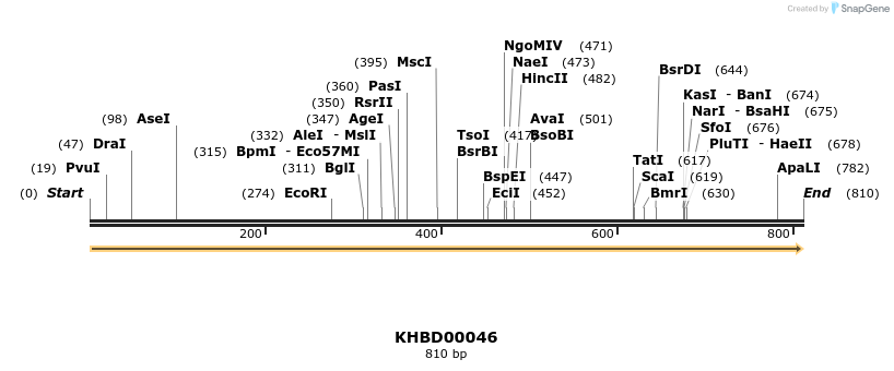 40775_map