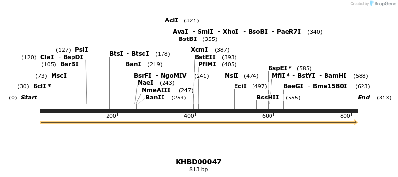 40776_map