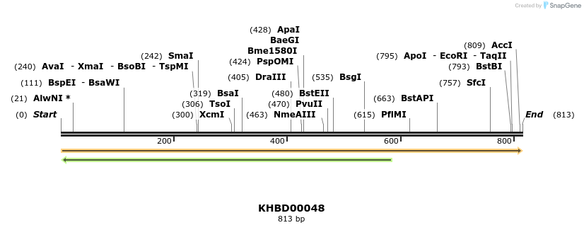 40777_map