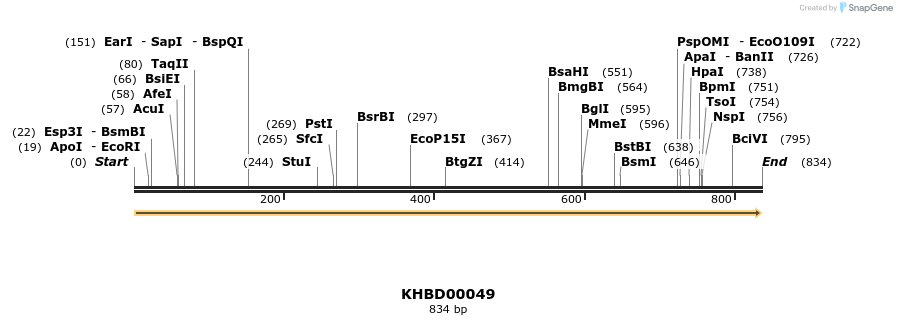 40778_map