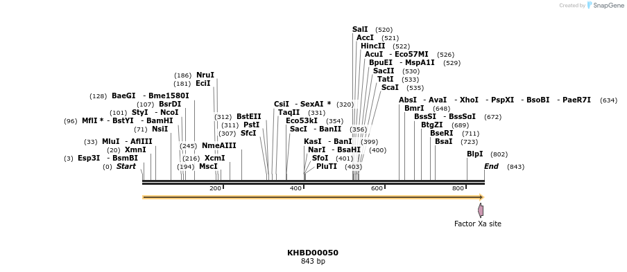 40779_map