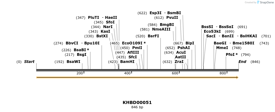 40780_map