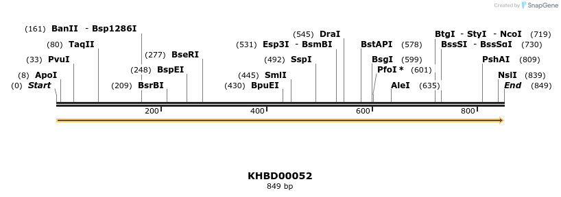 40781_map