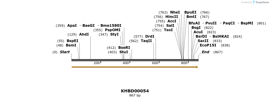 40783_map