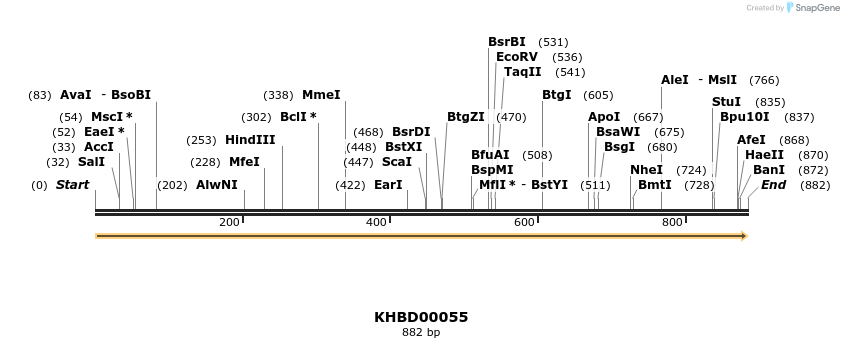 40784_map