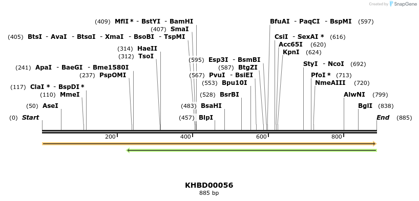 40785_map