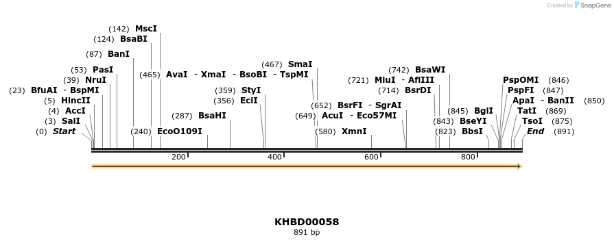 40786_map