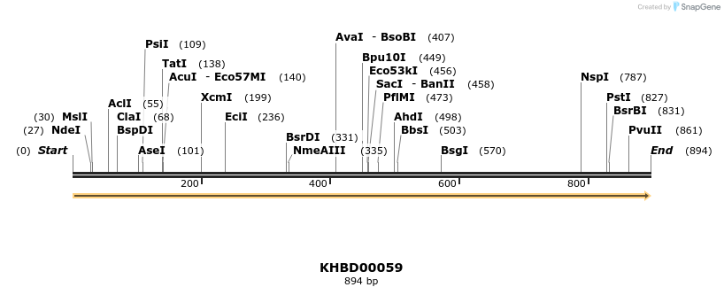 40787_map