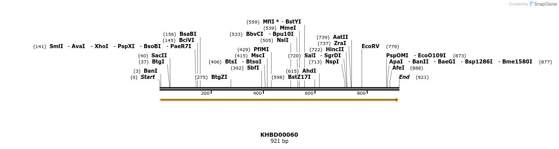 40788_map