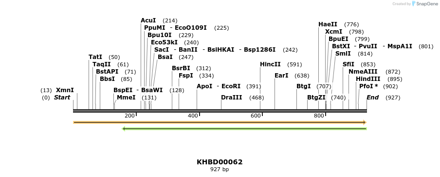 40789_map