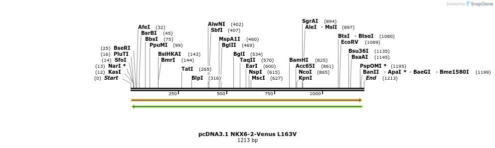 407898_map