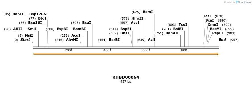 40790_map