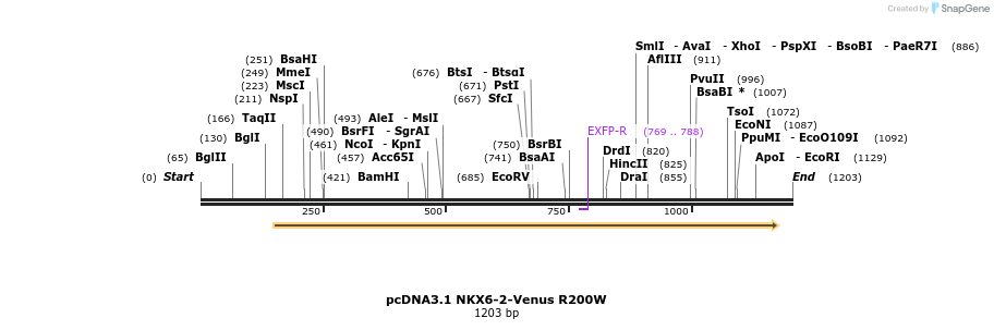 407901_map