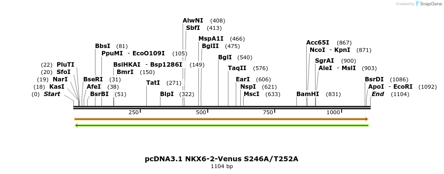 407904_map