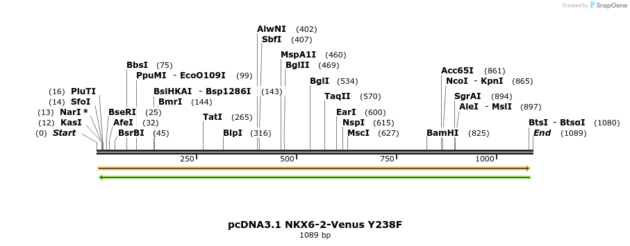 407907_map