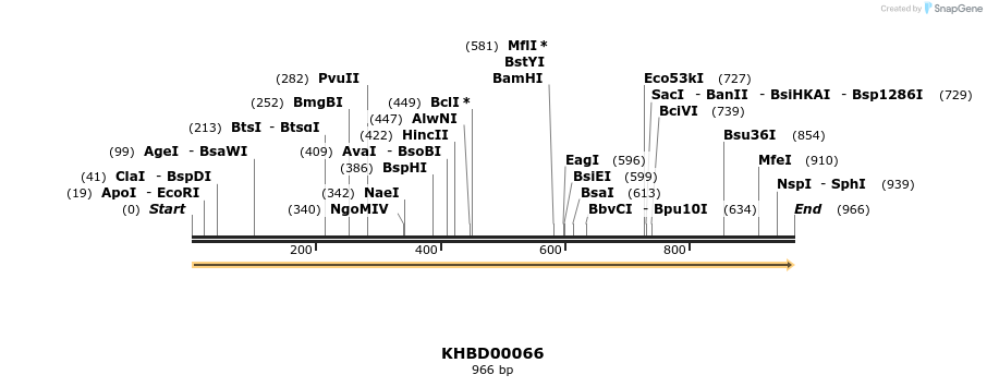 40792_map
