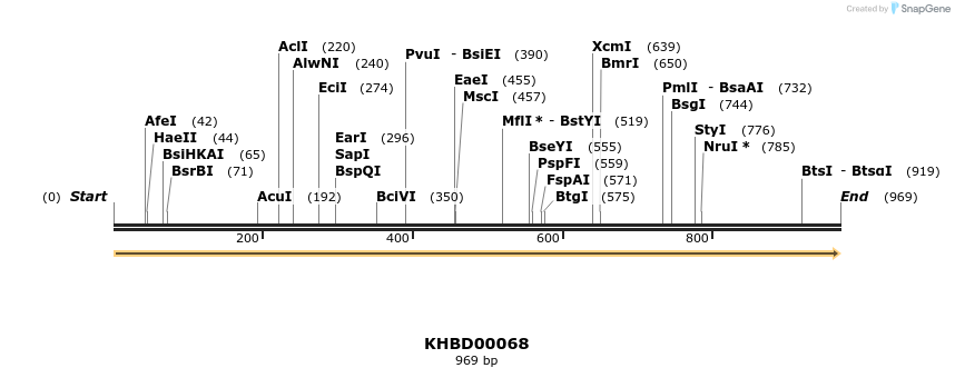 40793_map