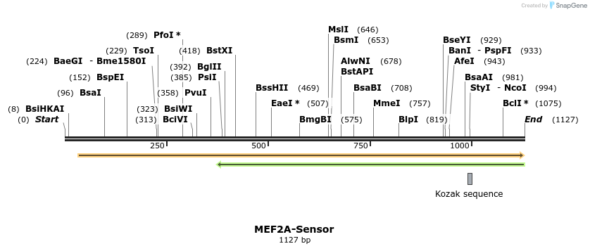 407949_map