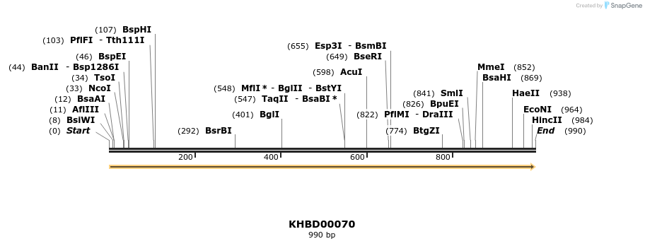 40795_map