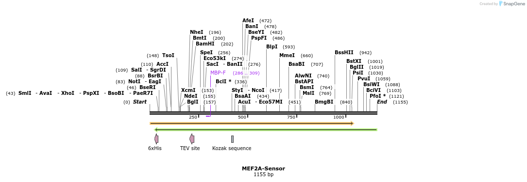 407950_map