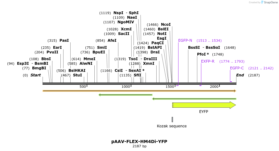 407956_map