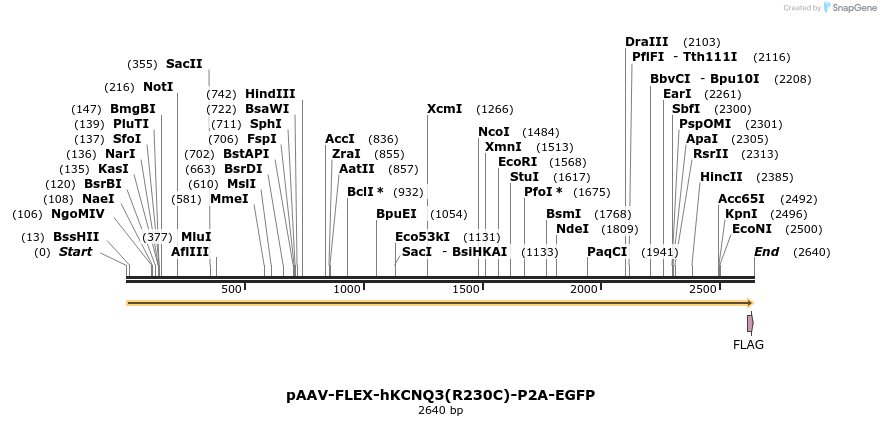 407958_map