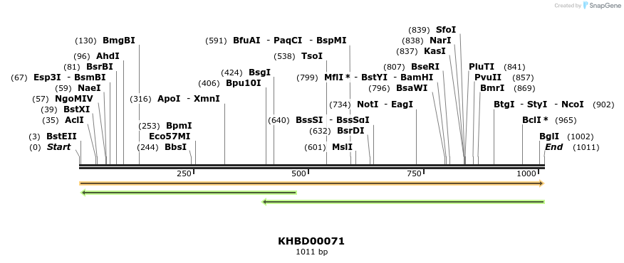 40796_map