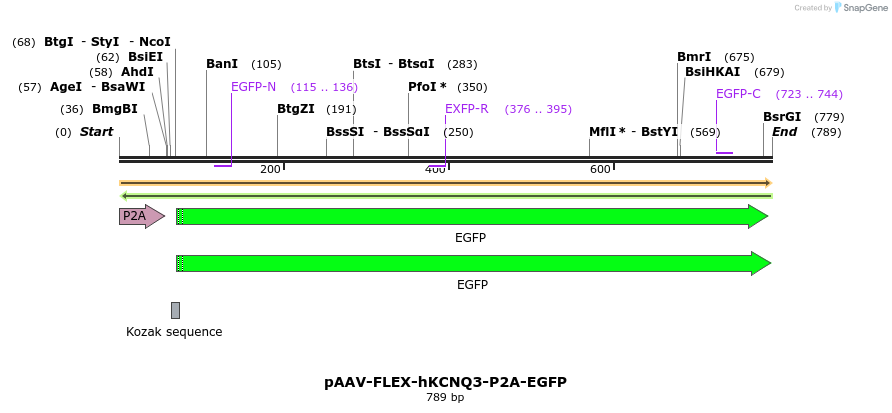 407962_map