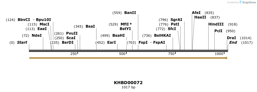 40797_map