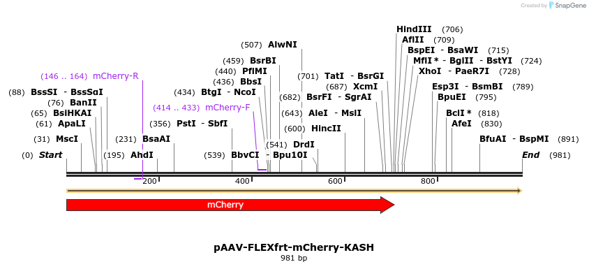 407976_map