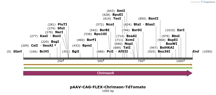 407981_map