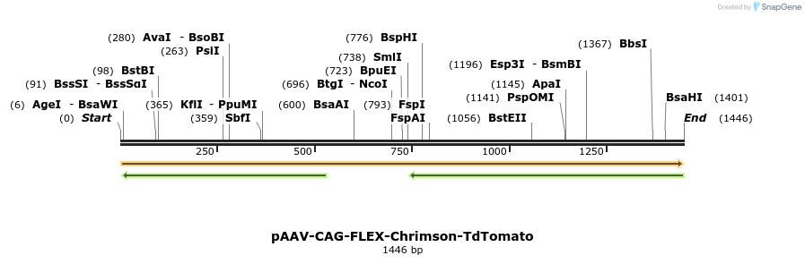 407982_map
